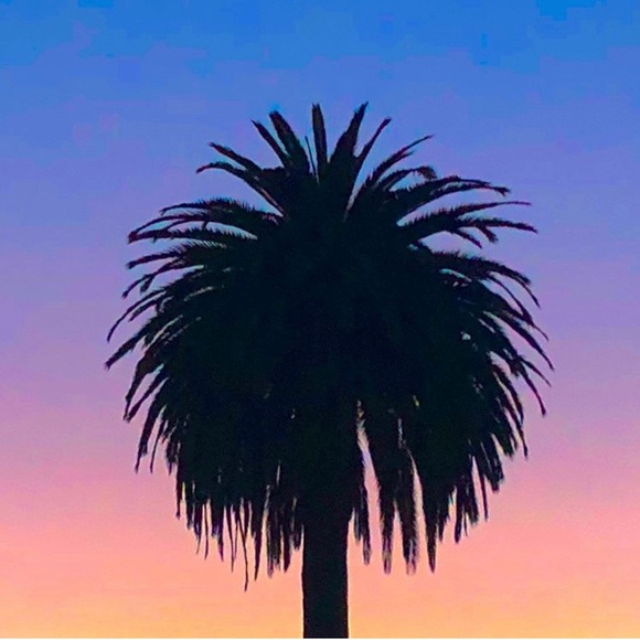 Meet your Posher, Josh - Picture 1 of 2